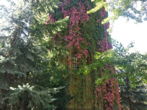 тур из Одессы в Заповедник АСКАНИЯ-НОВА